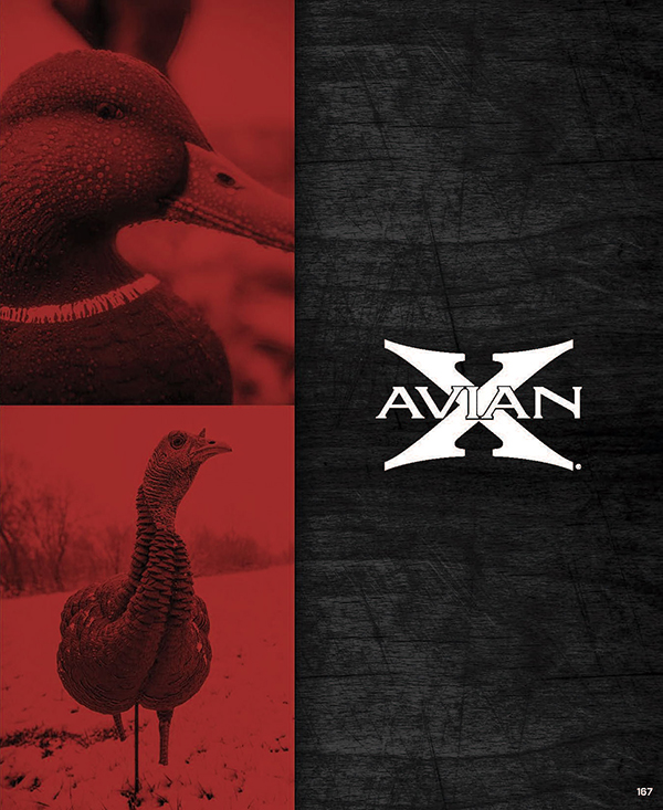 Avian X Section From 2021 Master Catalog Page 01