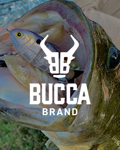 Our Brands